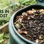 White Worms in Compost: Good, Bad, or Gross