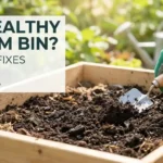 Signs Your Worm Bin is Unhealthy (And How to Fix Each One)