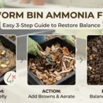 Worm Bin Smells Like Ammonia, Fix it.