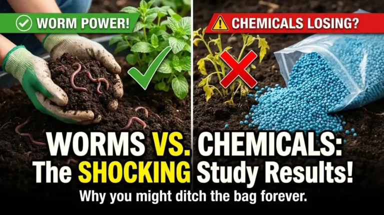 worm castings vs chemical fertiliser